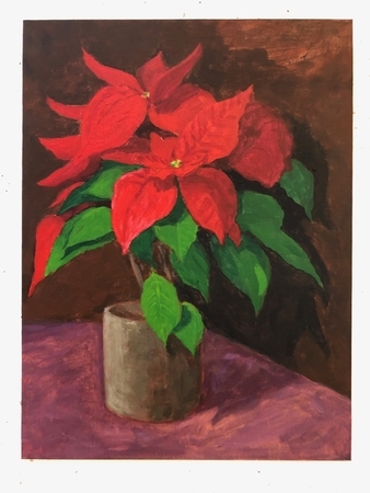 Poinsetta